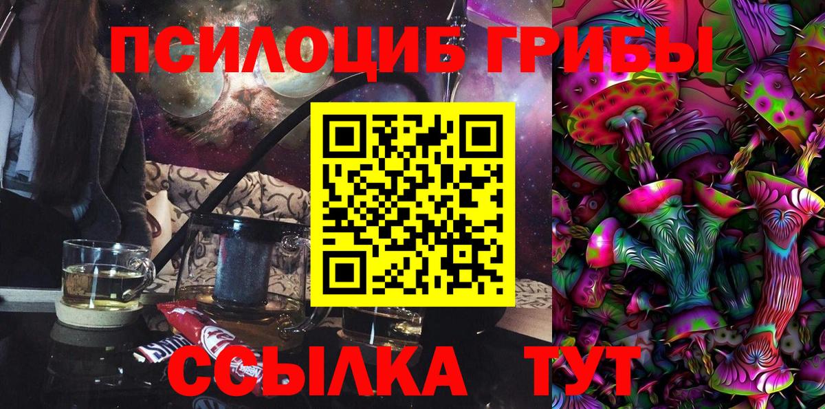 Псилоцибиновые грибы мицелий Среднеуральск