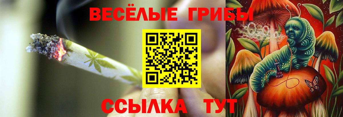 Псилоцибиновые грибы прущие грибы  Псилоцибиновые грибы мухоморы  Среднеуральск  Вход с VPN 